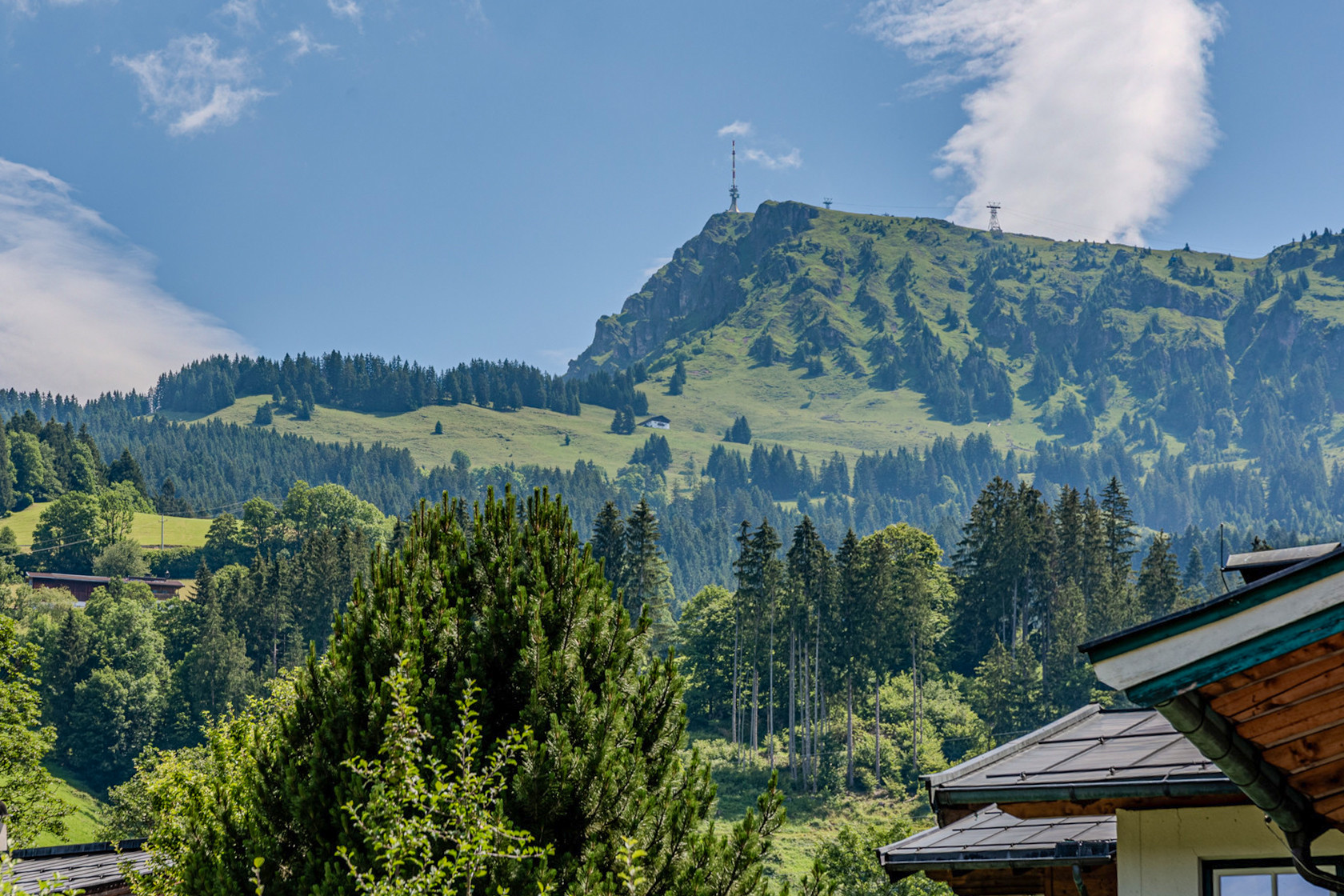 HORNBLICK