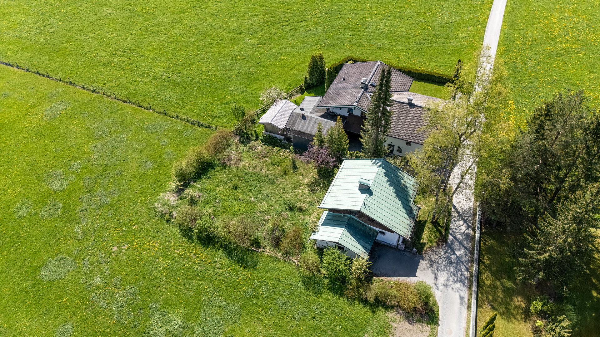 GRUNDSTÜCK MIT ALTBESTAND