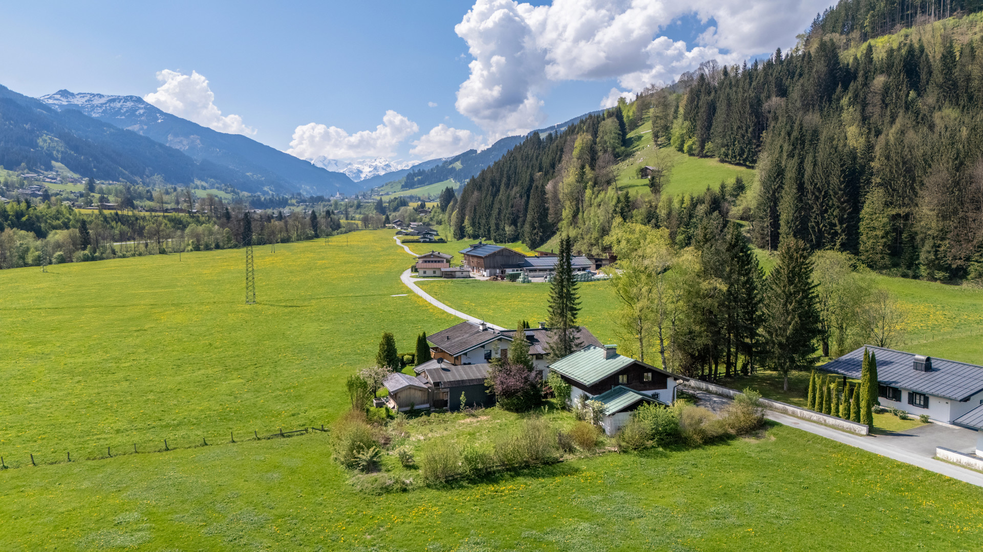 GRUNDSTÜCK MIT ALTBESTAND