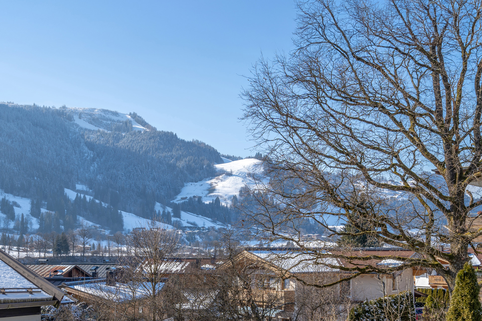 STREIFBLICK