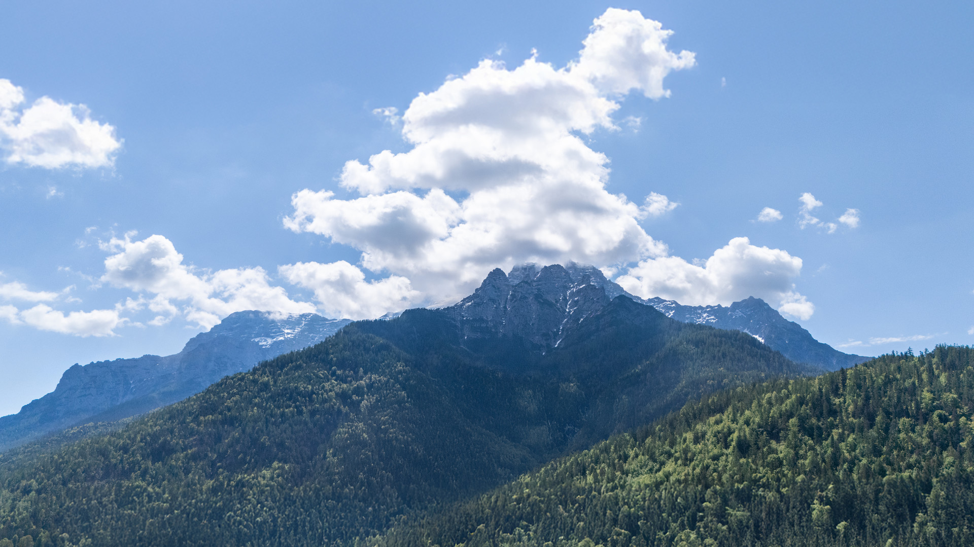 STEINBERGBLICK