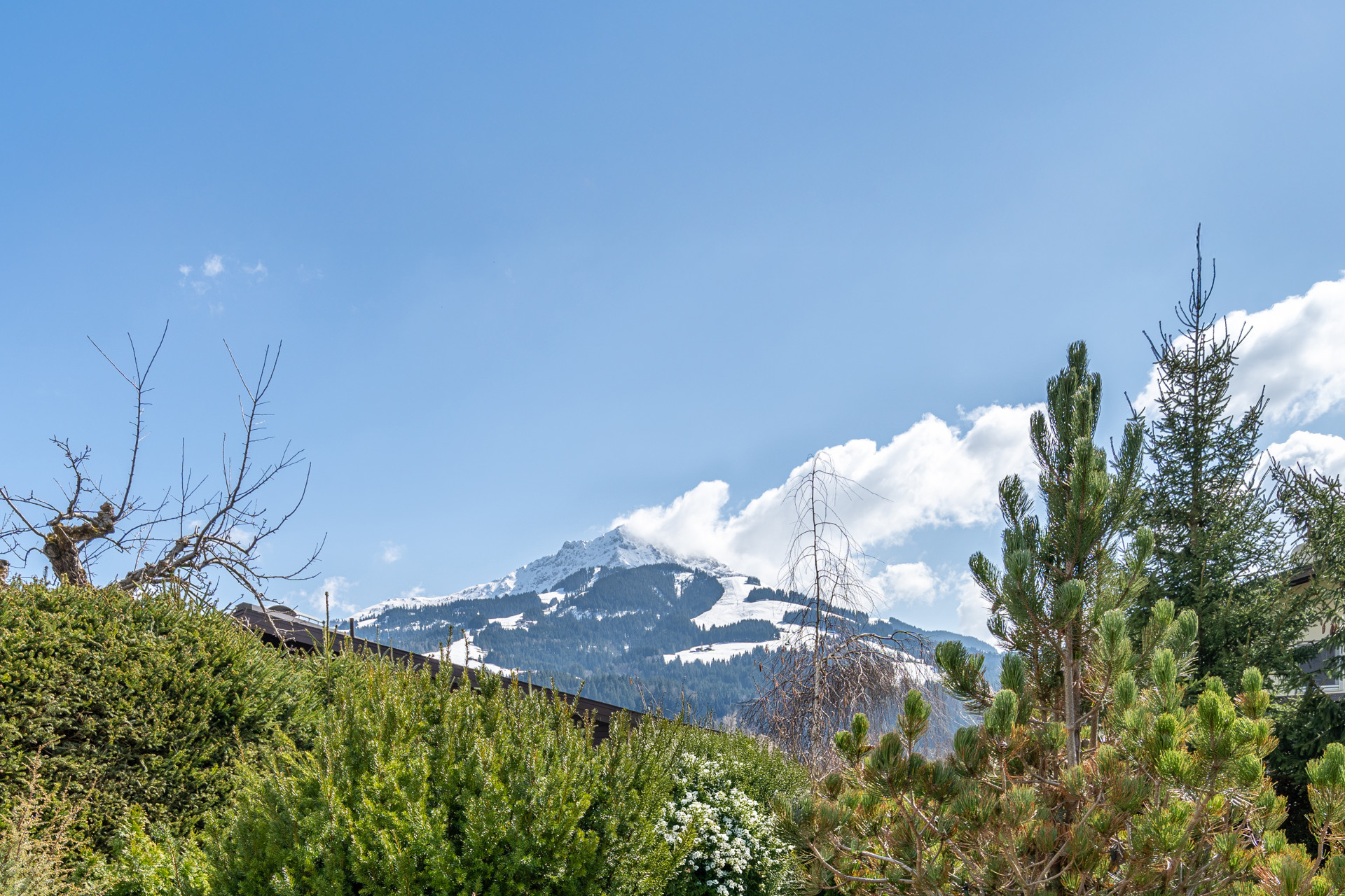 HORNBLICK VOM GARTEN